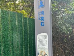 -火炉山森林公园