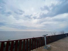 -上海滨江森林公园