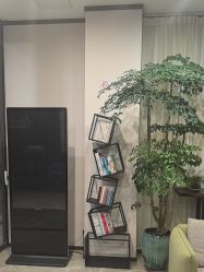 -加减美医美连锁品牌