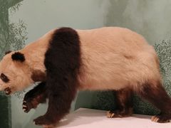 -河北博物院