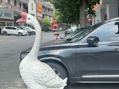 -巢湖名吃·东关老鹅汤(江南风情街店)