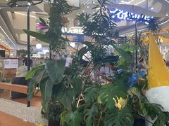 -野人先生Gelato(上海长宁龙之梦店)