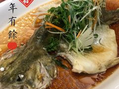 -新君悦国际酒店