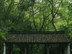 -虎跑公园