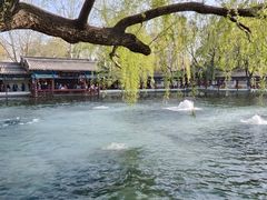 -百脉泉景区