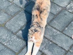 -姥家大锅台水库渔家