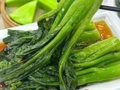 -亚马逊丛林水乐园
