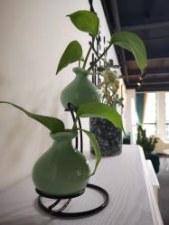 -Doris多里斯半永久纹眉·SMP纹发·发际线