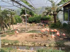 -无锡动物园·太湖欢乐园
