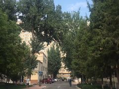 -北京化工大学(东校区)