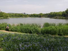 -北坞公园