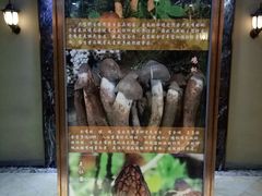 -爱膳菌锅锅(阳南店)
