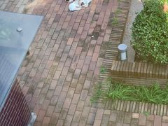 -天津东丽湖风景区