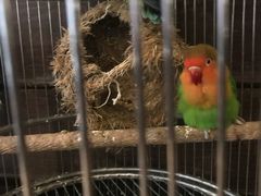 -芳满庭·江浙小馆(1912店)