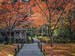 -三千院