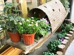 -猫的天空之城概念书店(杭州南宋御街店)