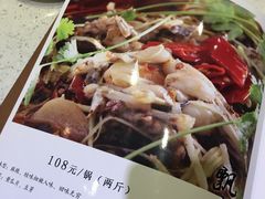-靓蛙馆