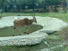 -西安秦岭野生动物园