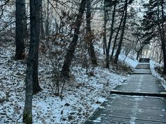 -帽儿山国家森林公园