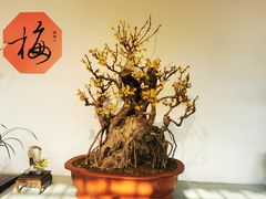 -颐和园