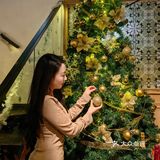 北京圣诞餐厅