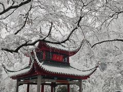 -岳麓山风景名胜区