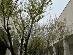 -良渚博物院