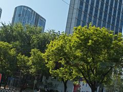 -北京三里屯CHAO酒店