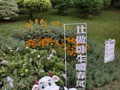 -云溪植物园