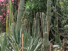 -祥源·阜阳生态乐园