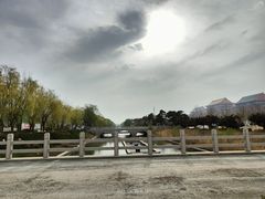 -泉城欧乐堡海洋极地世界