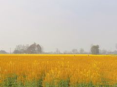 -中国天府农业博览园