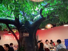 -顺德公美食(西乡店)