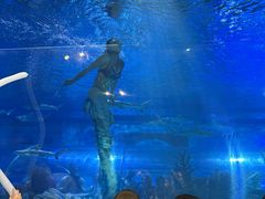 -成都浩海立方海洋公园