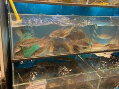 水产区-盒马鲜生(宝地店)
