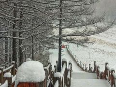 -驼梁风景区