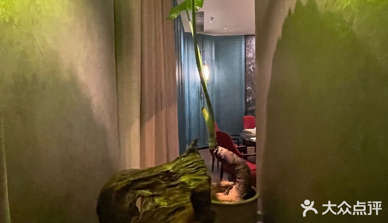 扑面而来的高级感，有设计师的功劳更有更有服务意识的觉醒