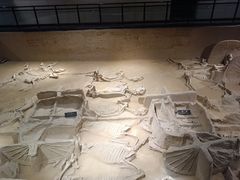 -洛阳周王城天子驾六博物馆