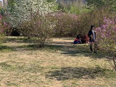 -群力丁香公园