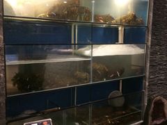-玖食龙虾主题餐厅