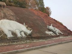 -哈尔滨北方森林动物园