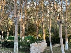 -长白岛森林公园