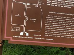 -大岭沟猕猴桃谷风景区