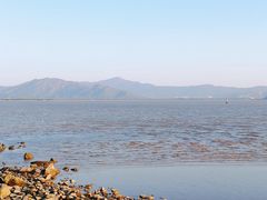-深圳湾公园(南山区)