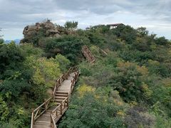 -大岭沟猕猴桃谷风景区