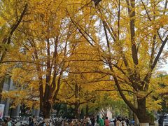 -小八仙·宴(三峡茶庄店)