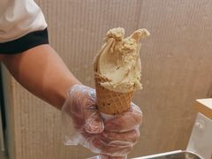 -野人先生现做冰淇淋(西安赛格店)