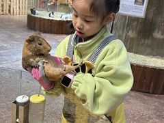 -杭州开元森泊度假乐园