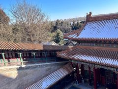 -颐和园
