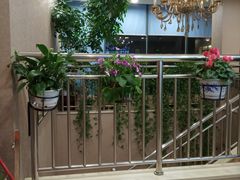 -乡亲鹅肉城(吴江店)